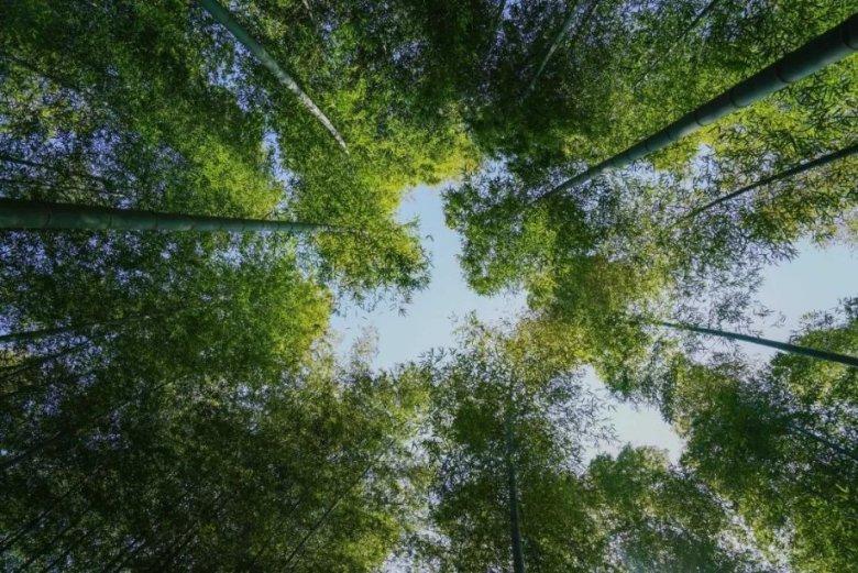 18.1% 效率！科学家开发出世界上最高效的量子点太阳能电池，为商业化迈出重要一步【附太阳能电池技术赛道观察图谱】